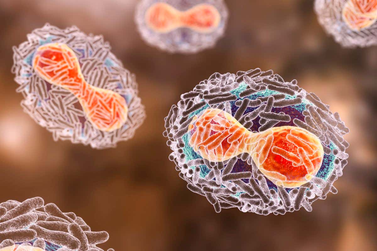 Monkeypox virus particles