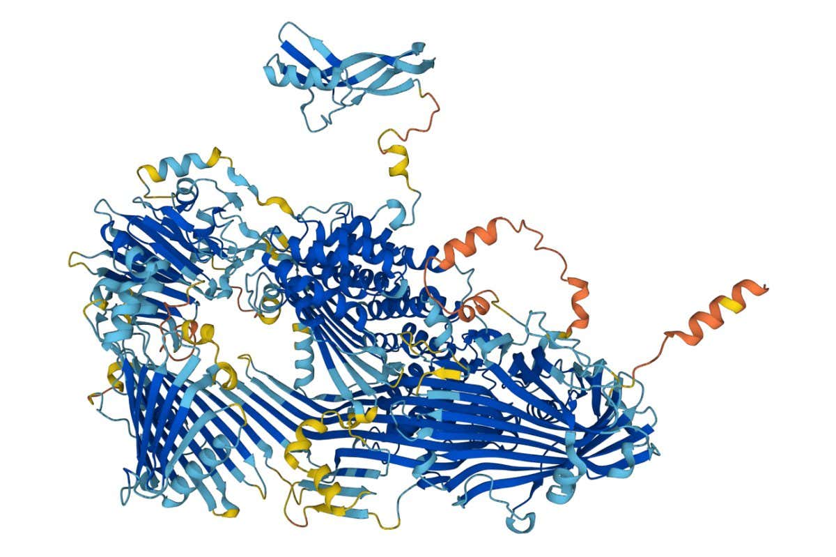 3D shape of a protein