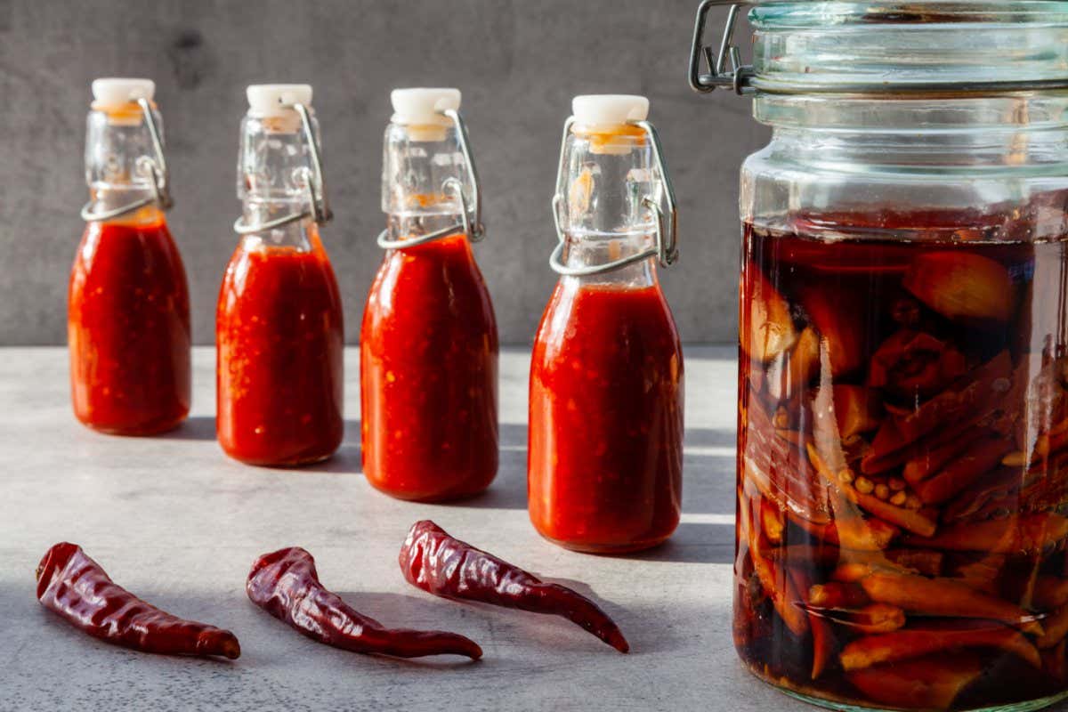 Four small bottles of chili hot sauce made from fermented dry de Cayenne chilies. Jar with fermentation process and dry chilies in front.; Shutterstock ID 1766916452; purchase_order: -; job: -; client: -; other: -