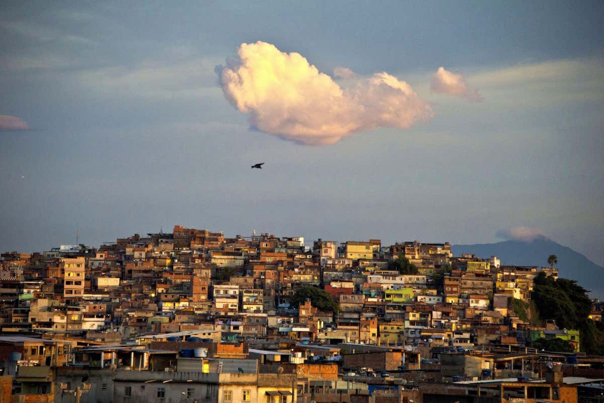 How kids are winning the fight against dengue fever in a Rio favela
