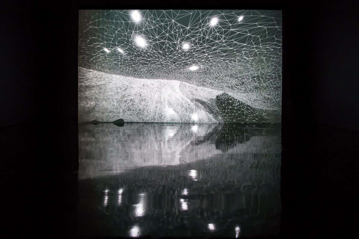 New Scientist. Science news and long reads from expert journalists, covering developments in science, technology, health and the environment on the website and the magazine.