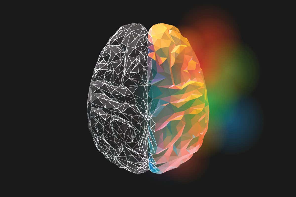 Having the left or right hemisphere of the brain removed as a child to treat epileptic seizures may not affect their ability to recognise words or faces as an adult