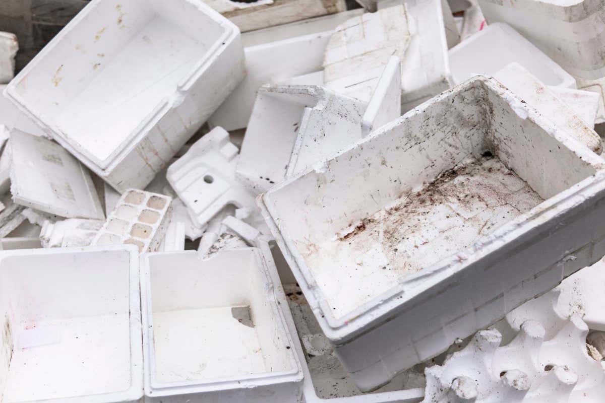 Polystyrene boxes