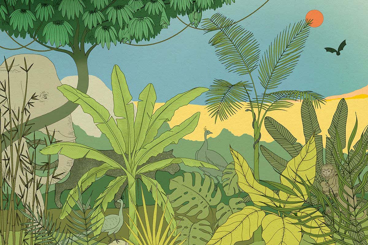 Why masses of new species have been staring us in the face all along