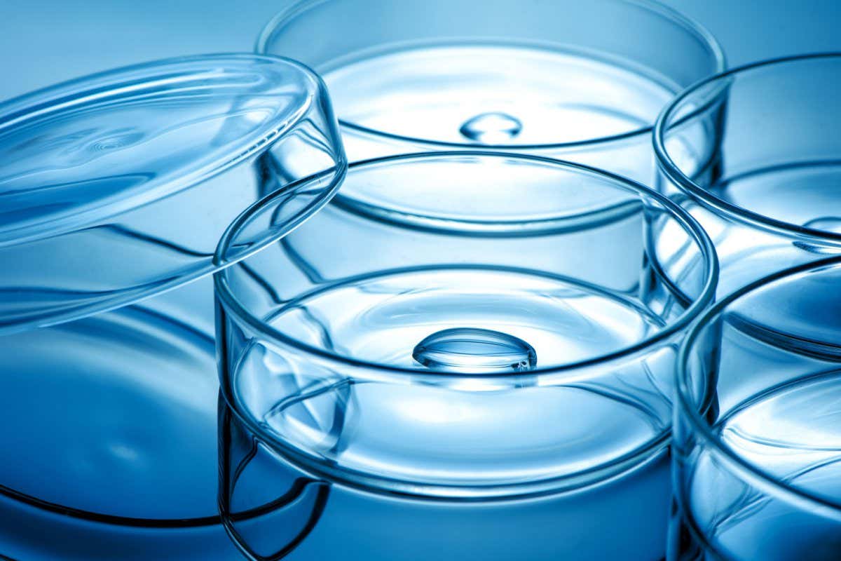 Clean glass petri dish with liquid drop inside over blue light background