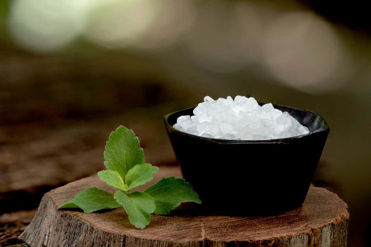 Saccharin or sweetener crystals and stevia branch green leaves on an old wood background.; Shutterstock ID 1962882754; purchase_order: -; job: -; client: -; other: -