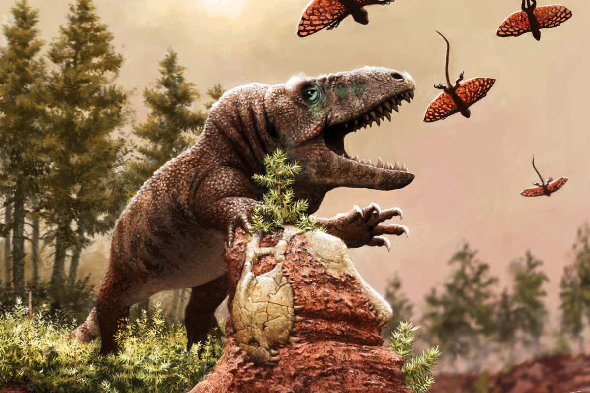Artistic reconstruction of the reptile adaptive radiation in a terrestrial ecosystem during the warmest period in Earth?s history. Image depicts a massive, big-headed, carnivorous erythrosuchid (close relative to crocodiles and dinosaurs) and a tiny gliding reptile at about 240 million years ago. The erythrosuchid is chasing the gliding reptile and it is propelling itself using a fossilized skull of the extinct Dimetrodon (early mammalian ancestor) in a hot and dry river valley. Image created by Henry Sharpe.