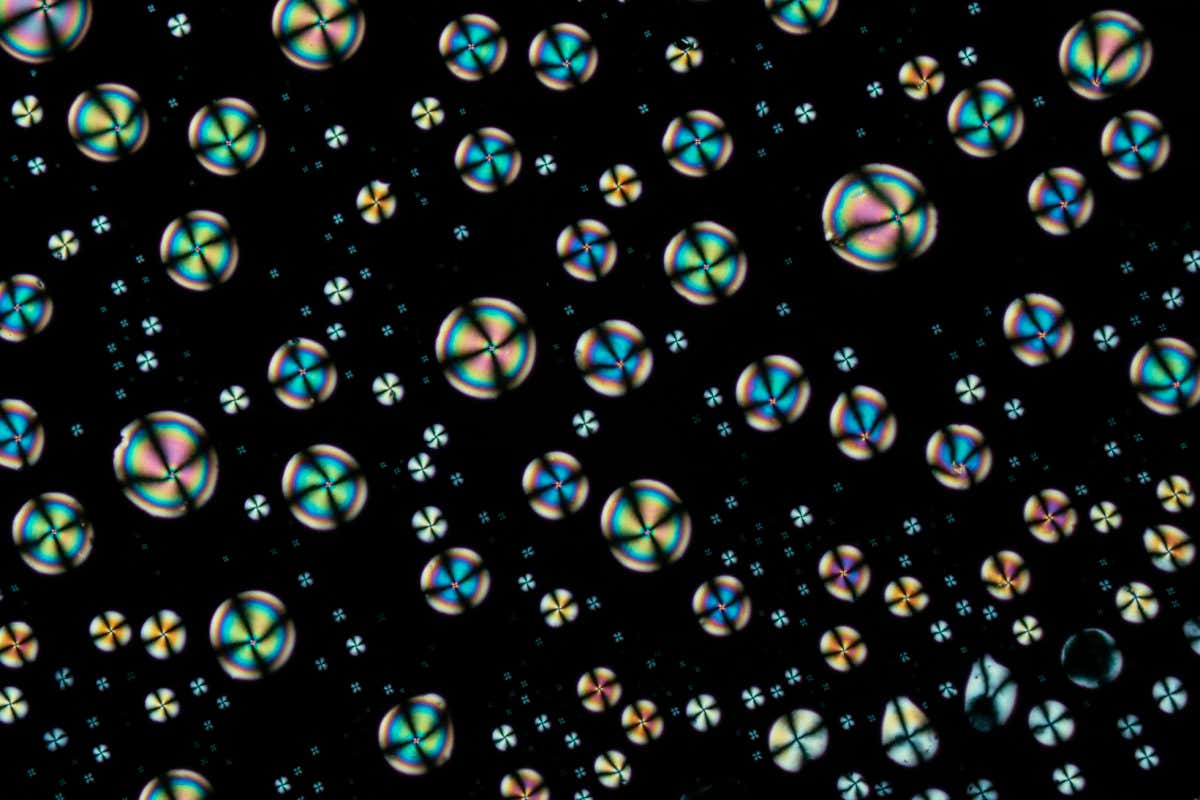 Droplet of liquid crystal, polarised light micrograph. Magnification: x70 when printed 10cm wide.