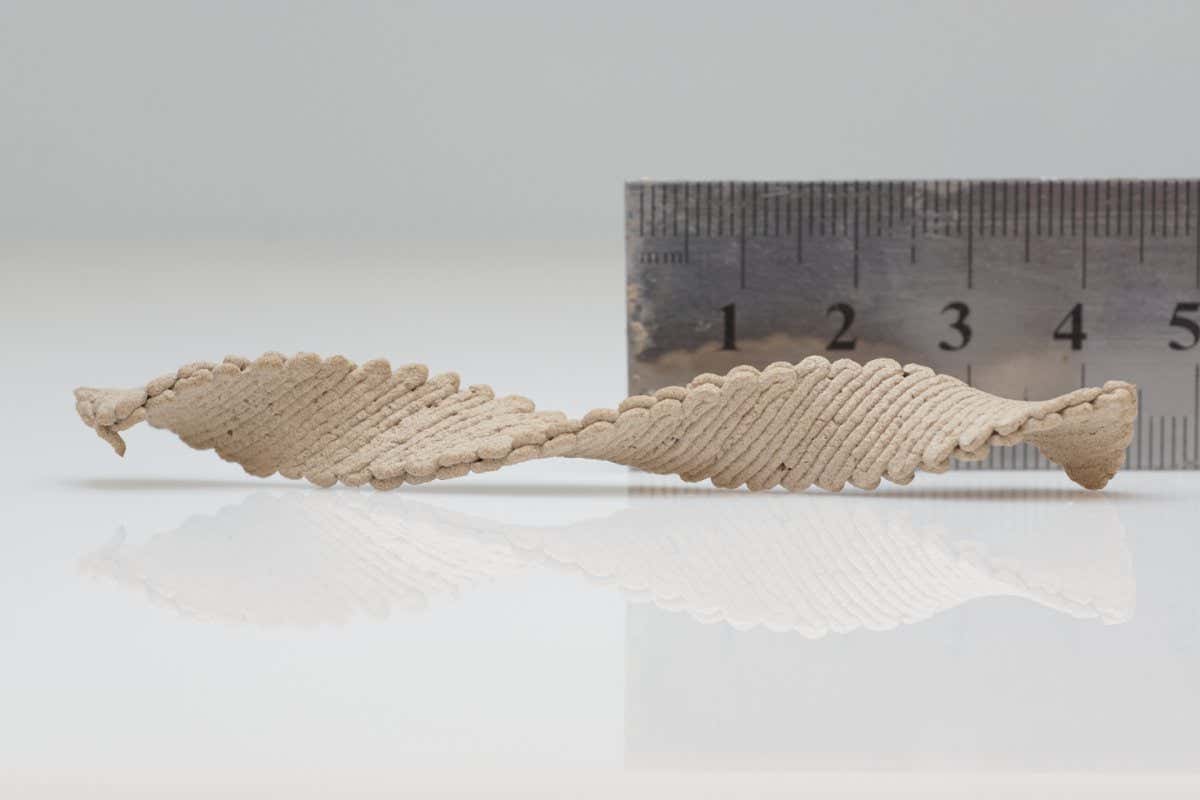 Wood ink printed as a flat rectangle is programmed to form a complex shape after drying and solidifying. (Ruler is marked in centimeters.)