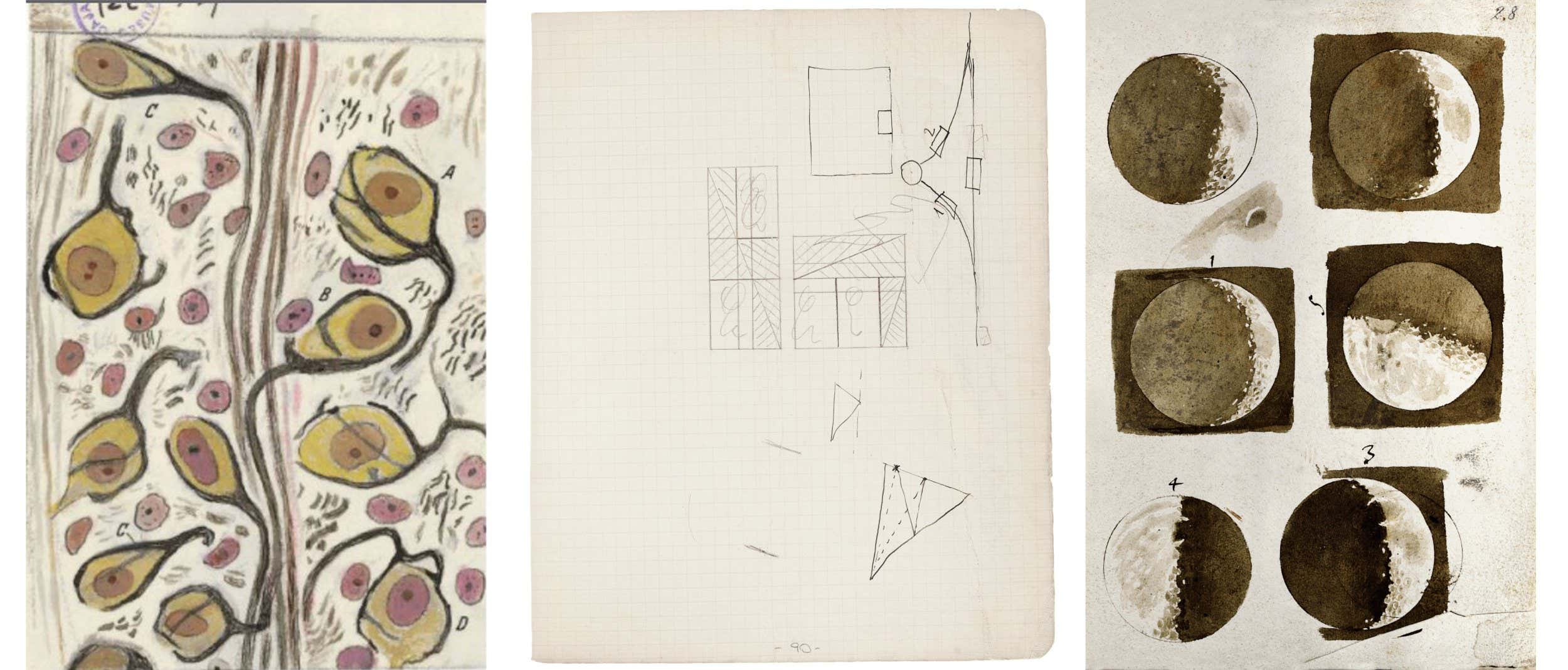 By courtesy of the Ministry of Cultural Heritage and Activities (MiBACT), Central National Library of Florence, Ban of Reproduction; The Hebrew University of Jerusalem; By courtesy of the Ministry of Cultural Heritage and Activities (MiBACT), Central National Library of Florence, Ban of Reproduction