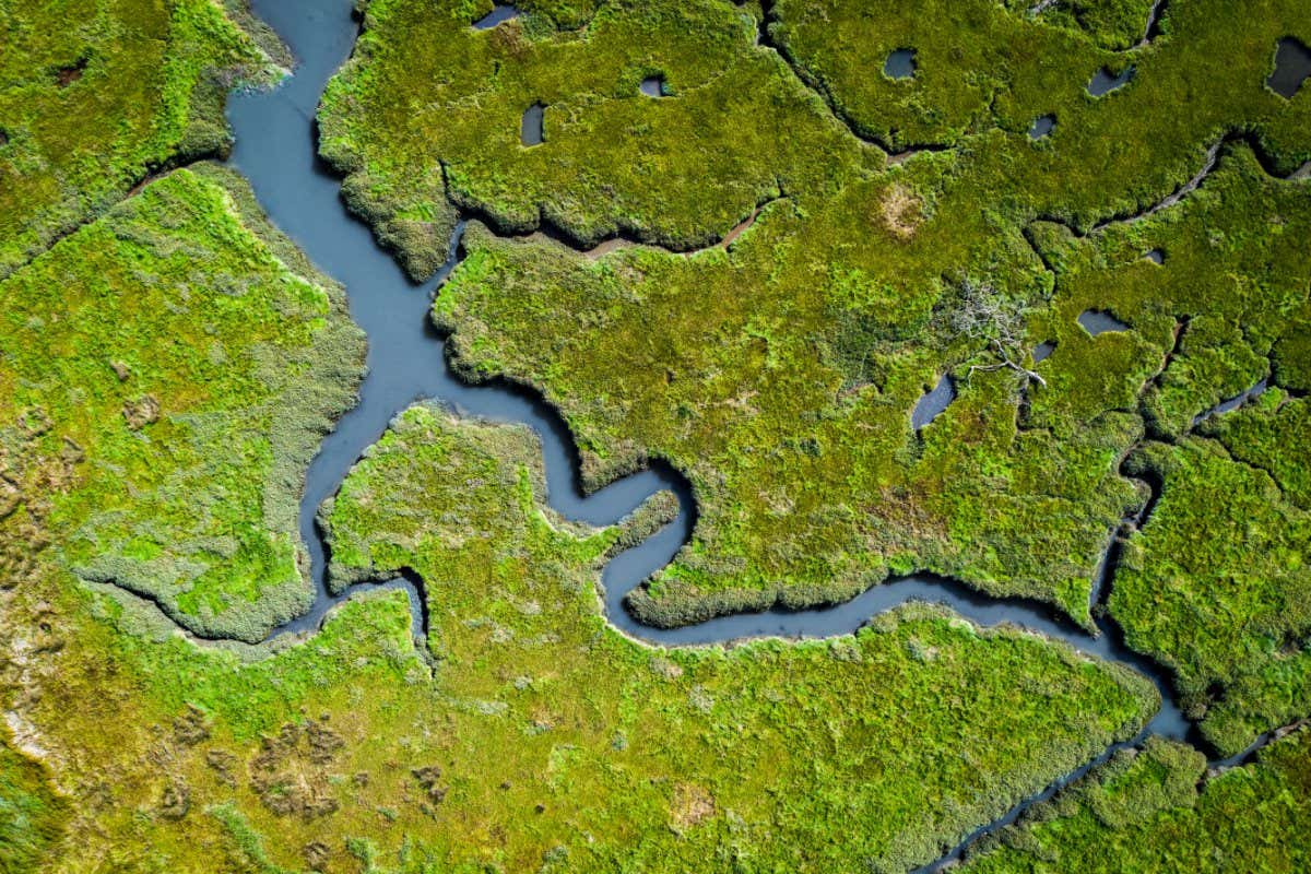 Aerial view of lush coastal wetlands in UK; Shutterstock ID 1489113977; purchase_order: -; job: -; client: -; other: -