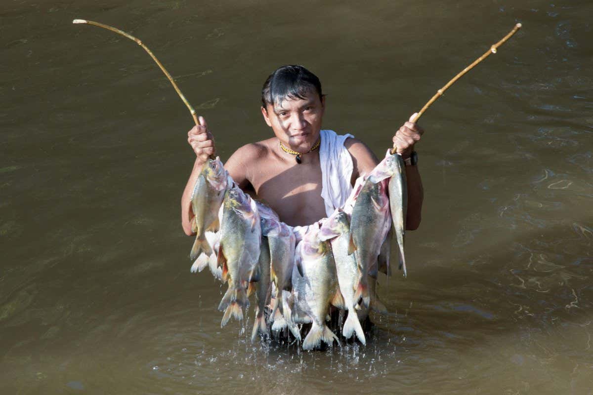 Yanomami man standing in river holding fish
