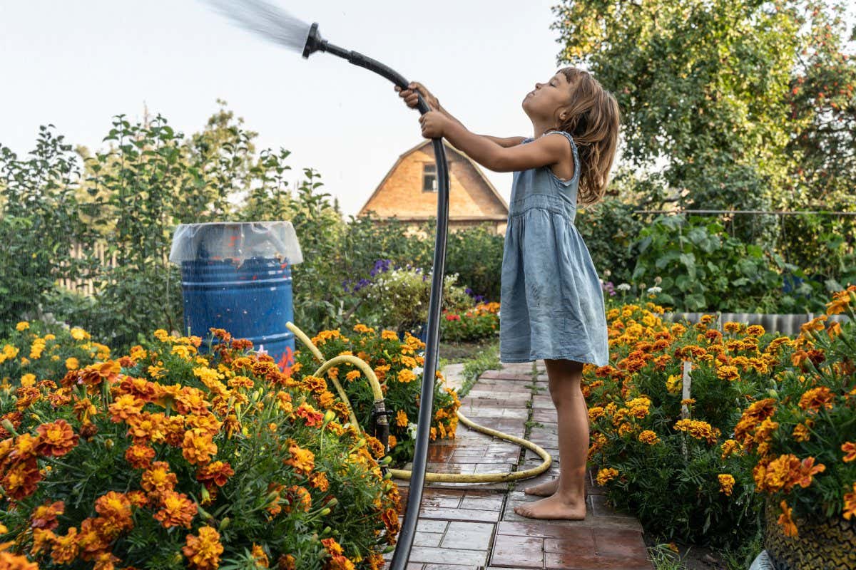 Funny little girl watering from a hose flowers in her home garden. Rural life. Happy child is resting in the summer, playing with water and watering the greens with a hose evening; Shutterstock ID 2138202117; purchase_order: -; job: -; client: -; other: -