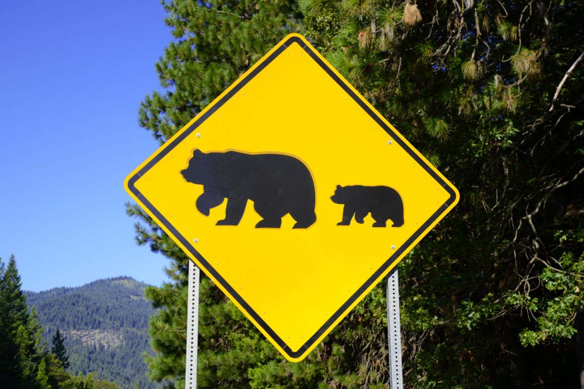Bear crossing warning road sign in the wilderness; Shutterstock ID 299664026; purchase_order: -; job: -; client: -; other: -