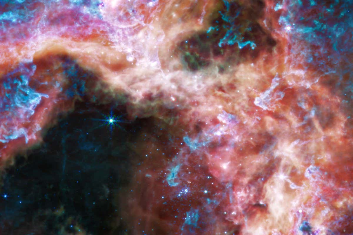 At the longer wavelengths of light captured by its Mid-Infrared Instrument (MIRI), Webb focuses on the area surrounding the central star cluster and unveils a very different view of the Tarantula Nebula. In this light, the young hot stars of the cluster fade in brilliance, and glowing gas and dust come forward. Abundant hydrocarbons light up the surfaces of the dust clouds, shown in blue and purple. Much of the nebula takes on a more ghostly, diffuse appearance because mid-infrared light is able to show more of what is happening deeper inside the clouds. Still-embedded protostars pop into view within their dusty cocoons, including a bright group at the very top edge of the image, left of center. Other areas appear dark, like in the lower-right corner of the image. This indicates the densest areas of dust in the nebula, that even mid-infrared wavelengths cannot penetrate. These could be the sites of future, or current, star formation.