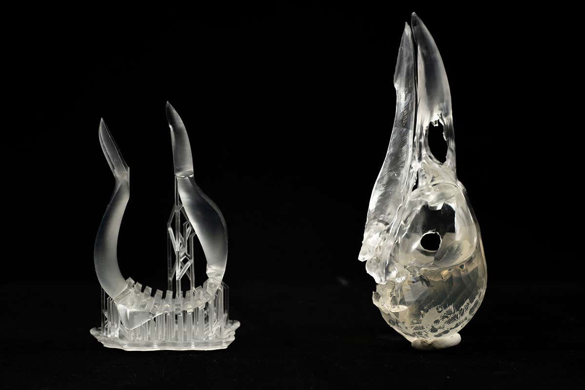 crow’s beak tweezers