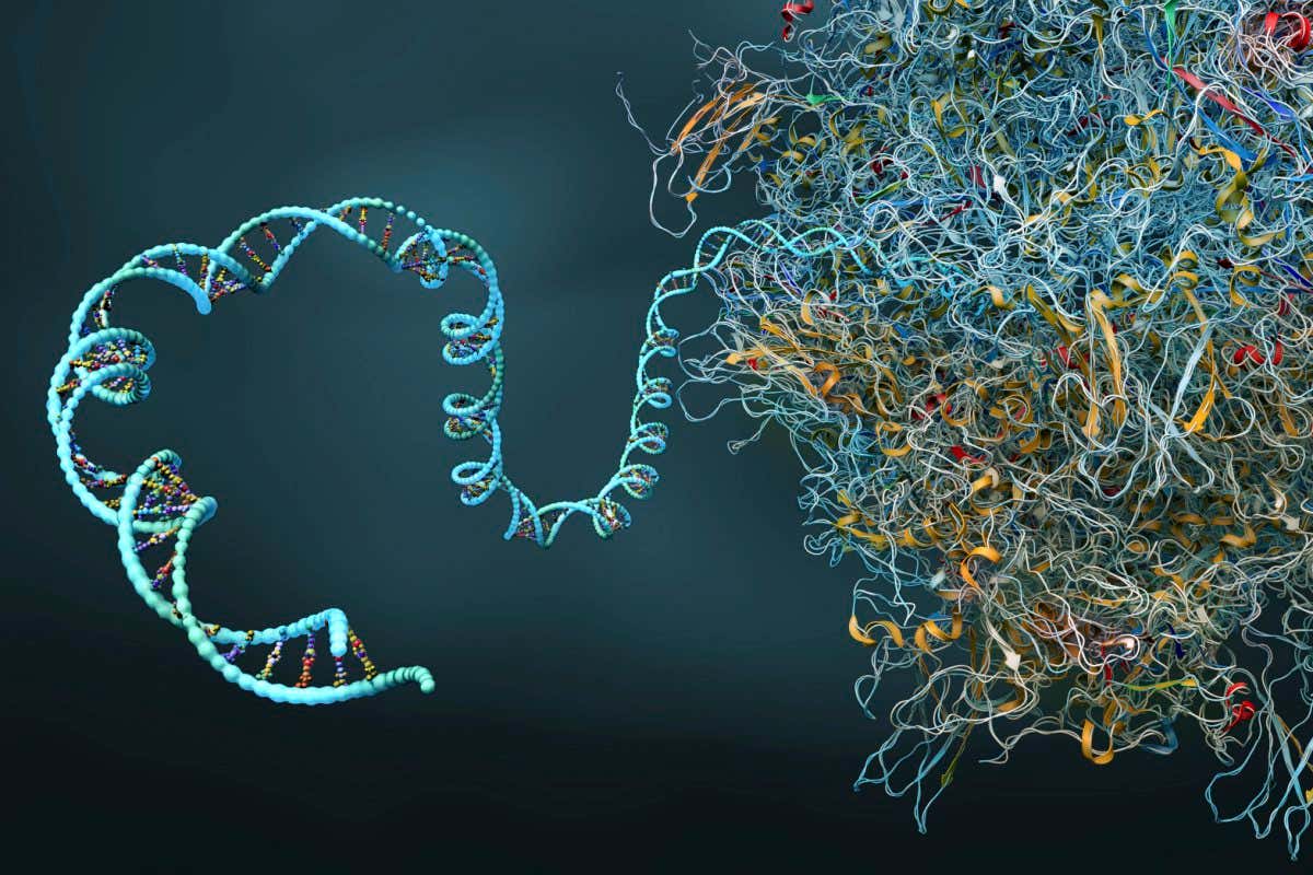 Illustration of a ribosome