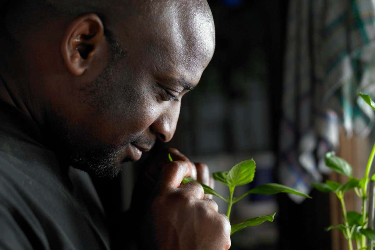 A man smelling a plant