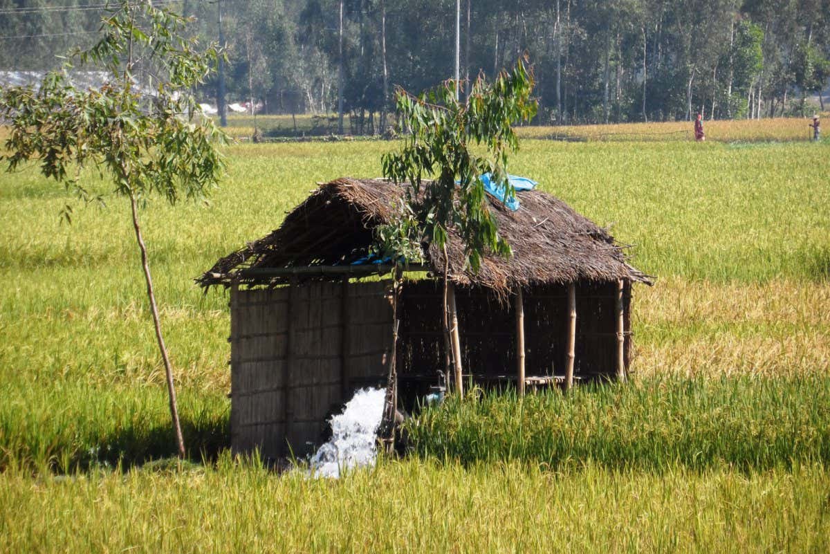 An electric-powered irrigation well pumping groundwater to rice fields during the dry season in north west Bangladesh