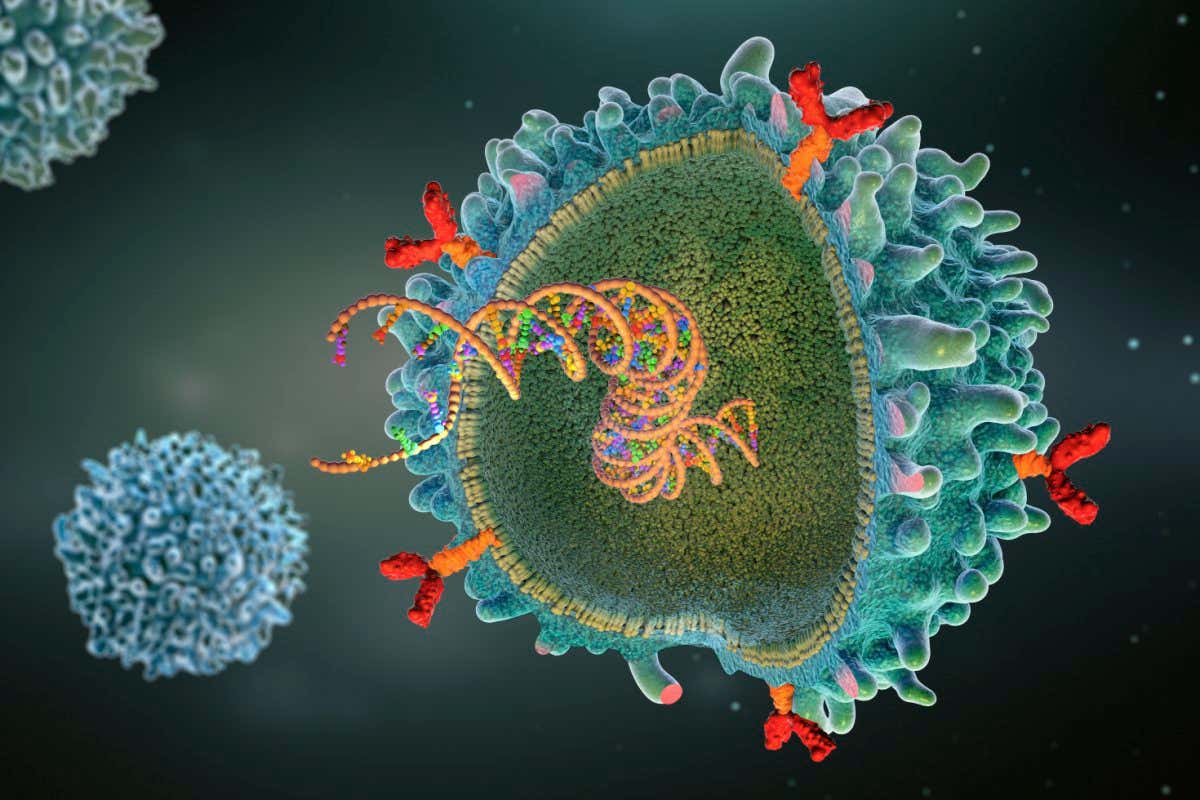 Illustration of a CAR-T cell