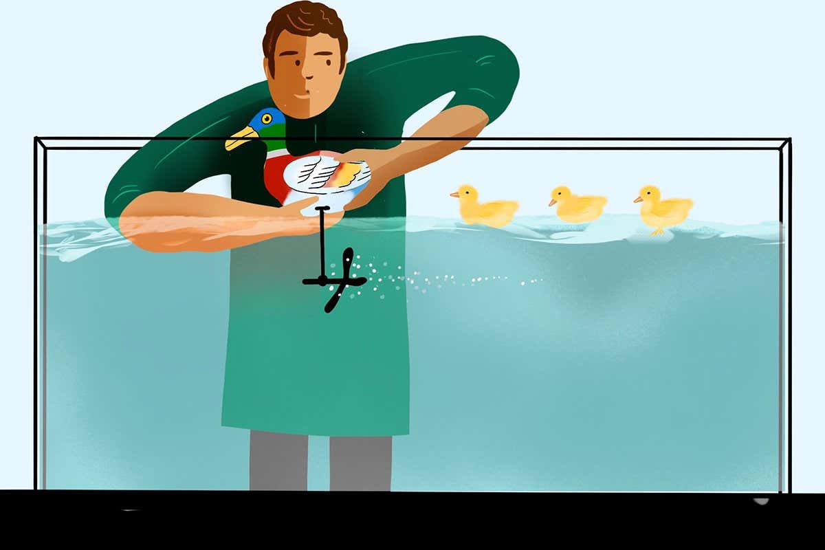 Ig Nobel prizes 2022: The unlikely science that won this year's awards