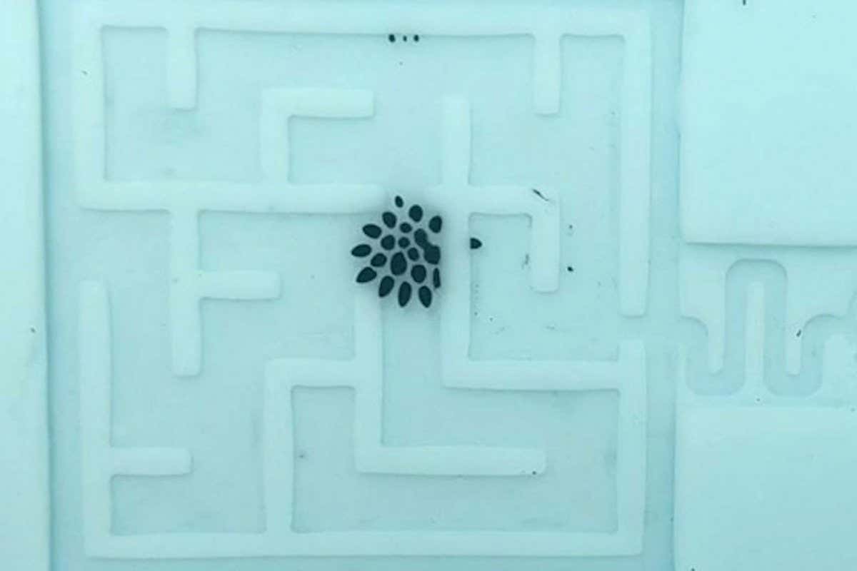 Liquid robot can split into tiny droplets and reform into a blob