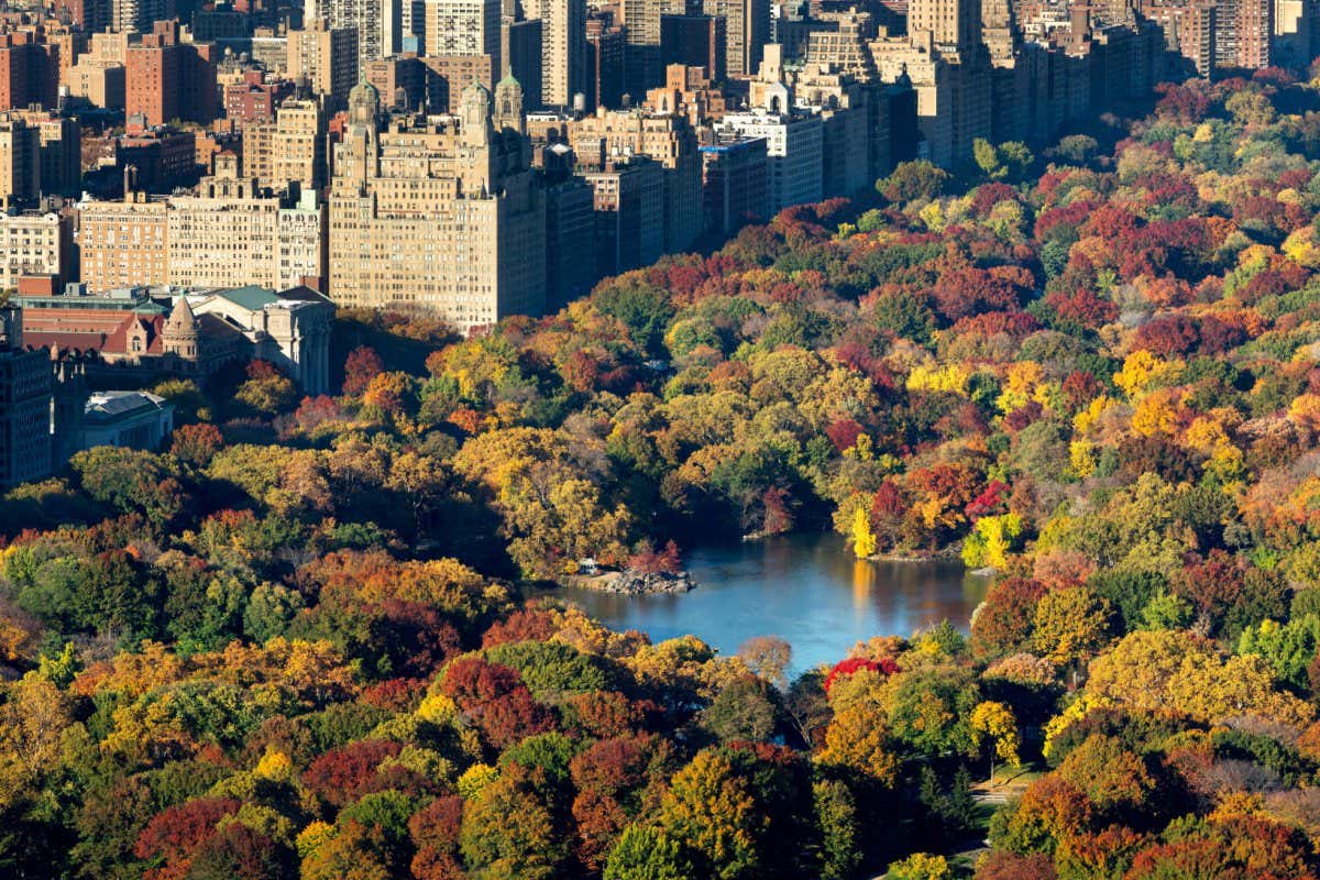 Aerial view of Central Park, New York City