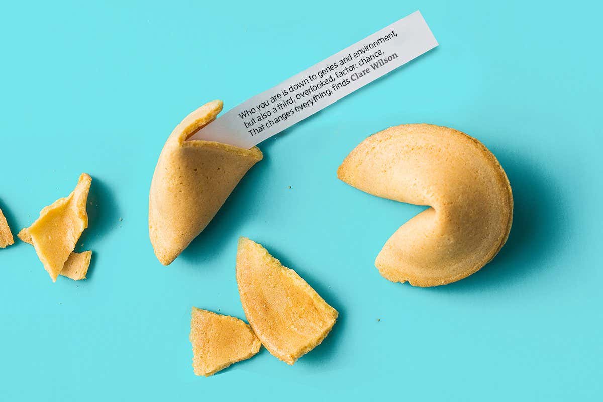 Nature, nurture, luck: Why you are more than just genes and upbringing