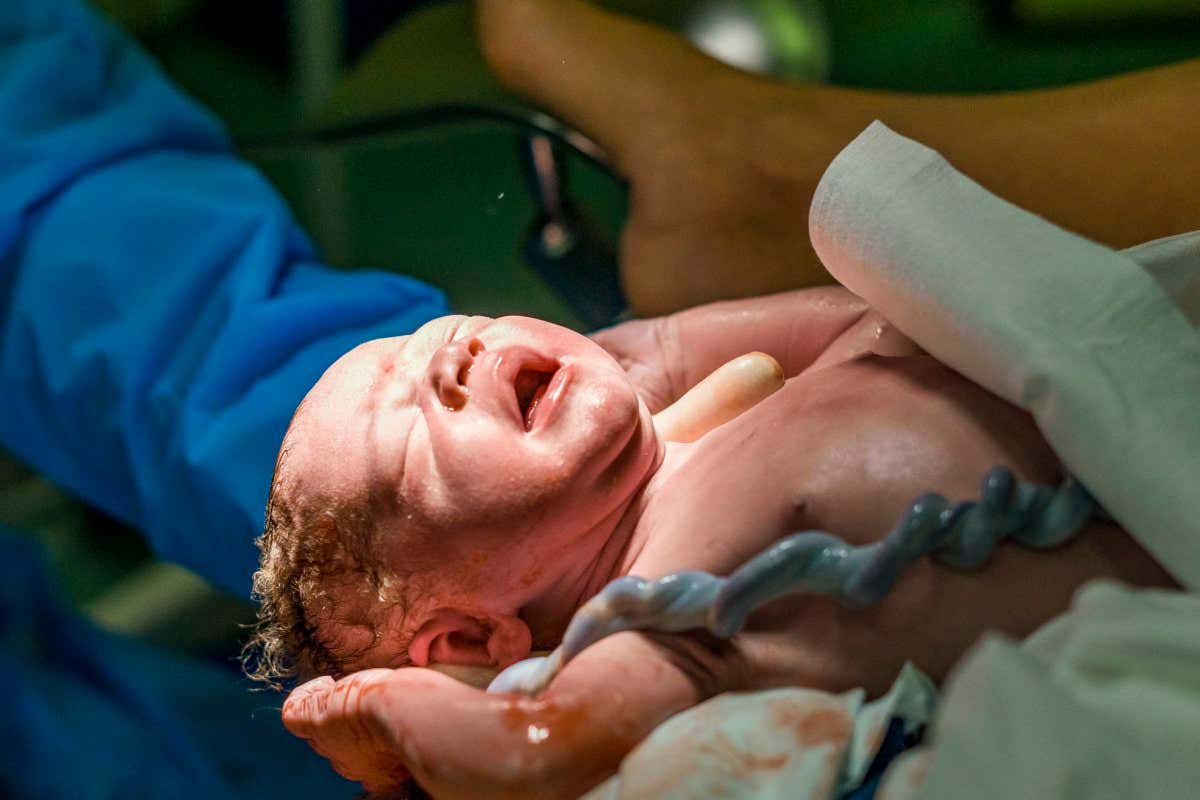 New born baby boy with umbilical cord assisted by midwife ; Shutterstock ID 1103699267; purchase_order: -; job: -; client: -; other: -