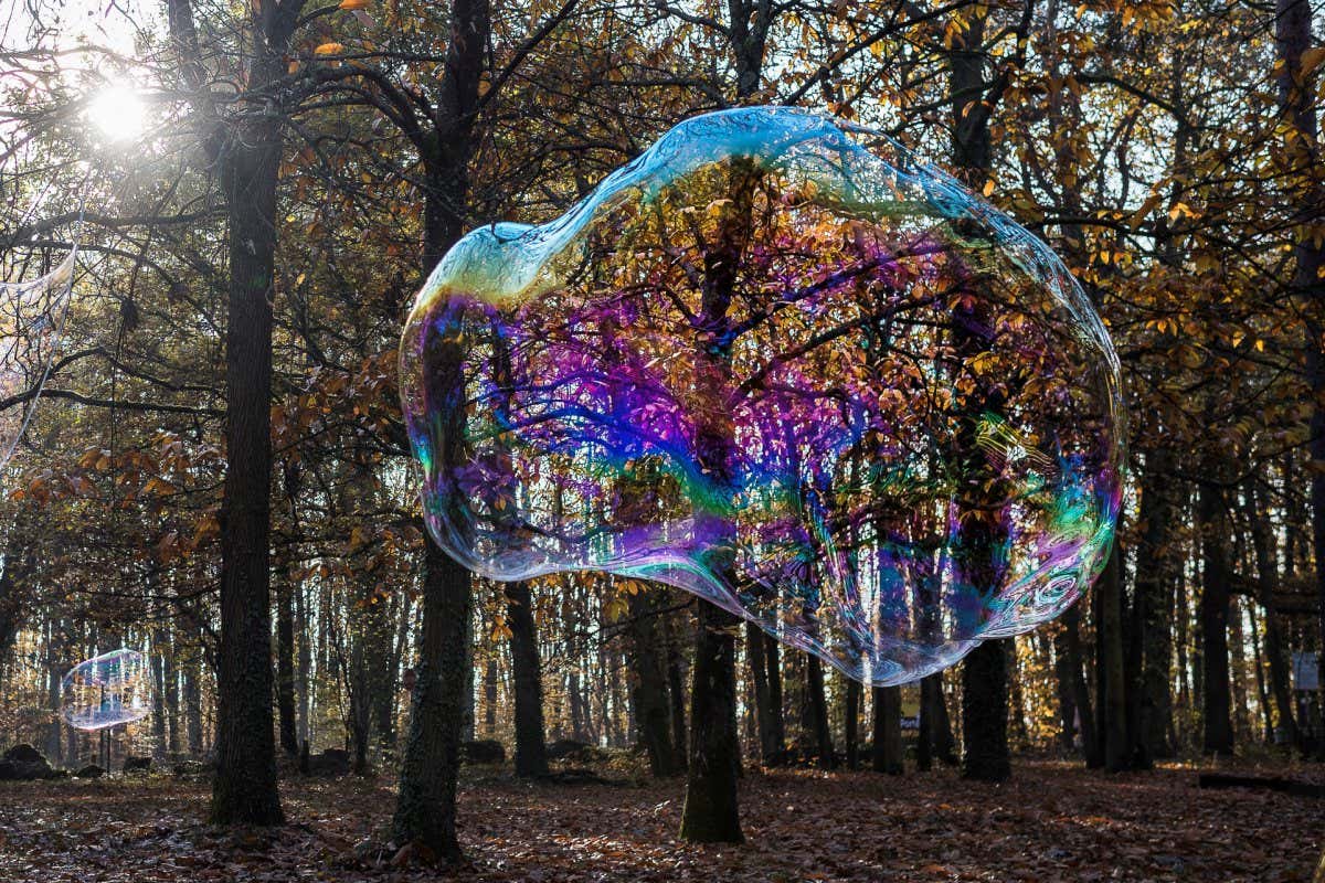 Large soap bubble floating in a forest