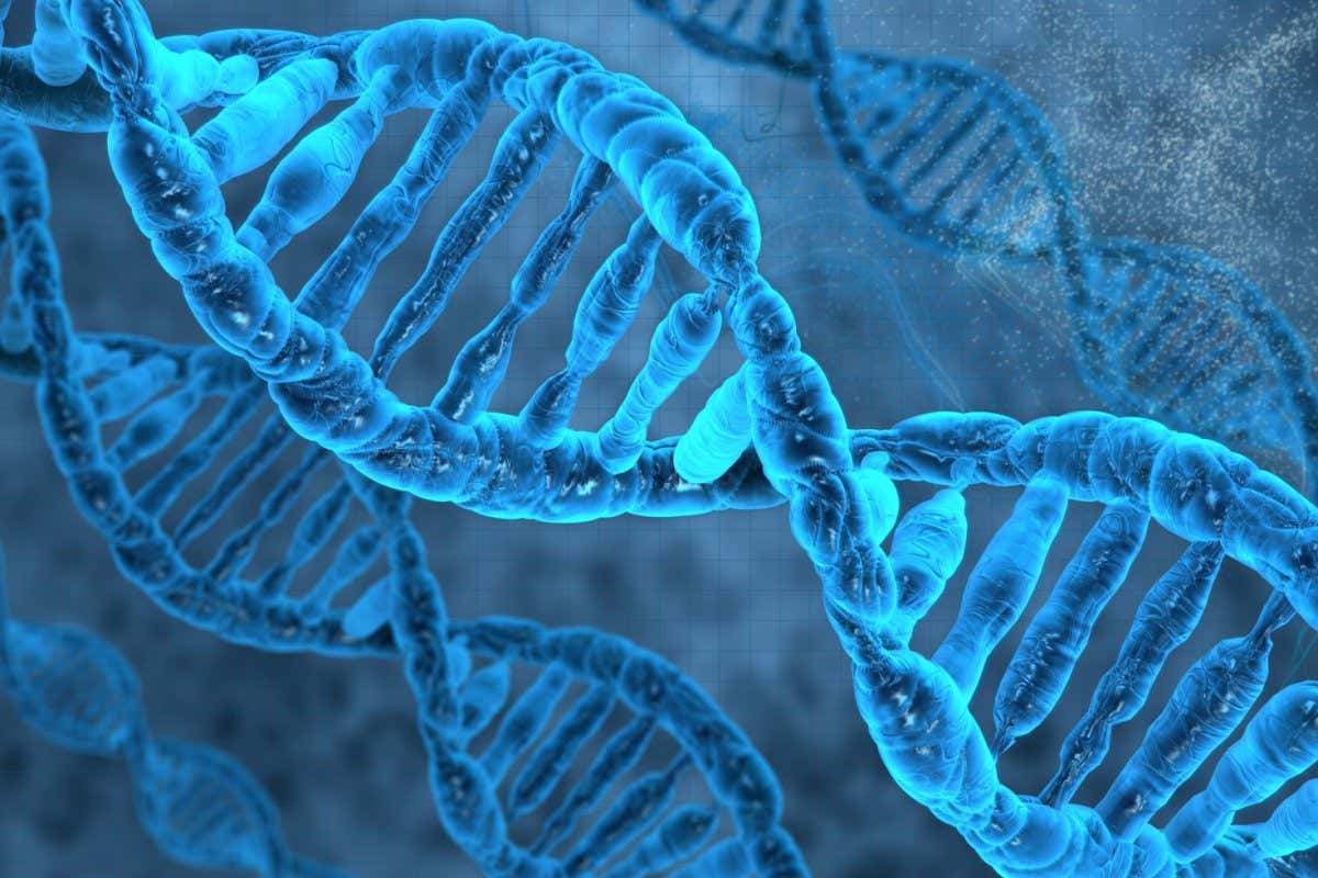 Nearly 200 hundred genetic variants on 14 genes have been linked to chronic fatigue syndrome