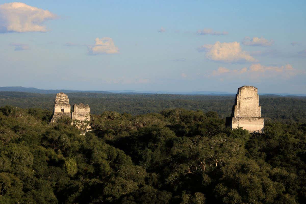 Tikal National Park - part of the Maya Forest in Guatemala
