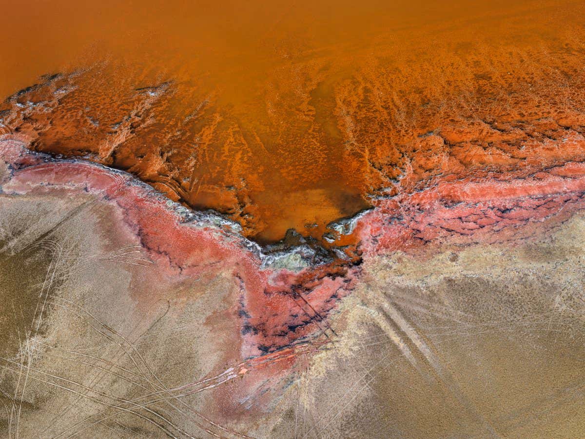 New Scientist. Science news and long reads from expert journalists, covering developments in science, technology, health and the environment on the website and the magazine.