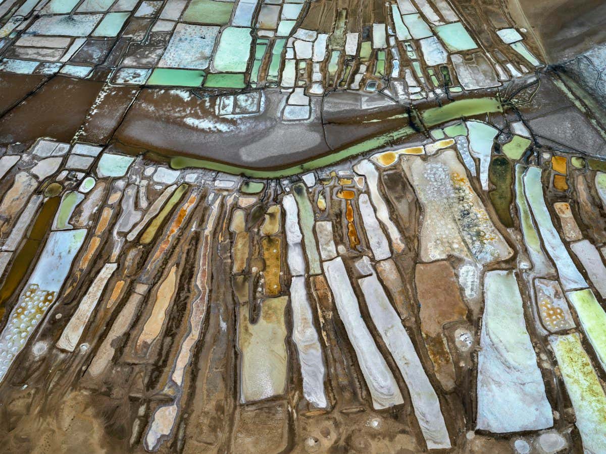 New Scientist. Science news and long reads from expert journalists, covering developments in science, technology, health and the environment on the website and the magazine.