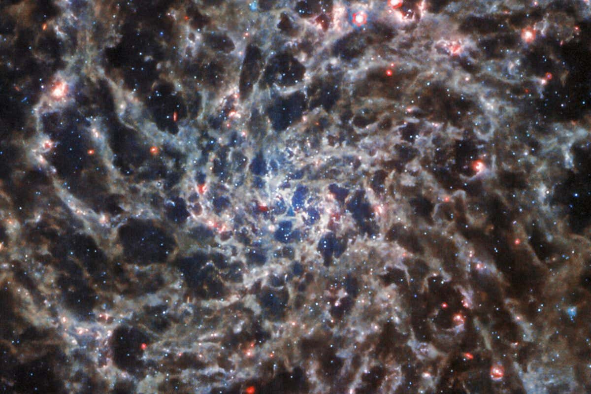 This image of the spiral galaxy IC 5332, taken by the NASA/ESA/CSA James Webb Space Telescope with its MIRI instrument, has been scaled and cropped to match the NASA/ESA Hubble Space Telescope???s view of the same galaxy.