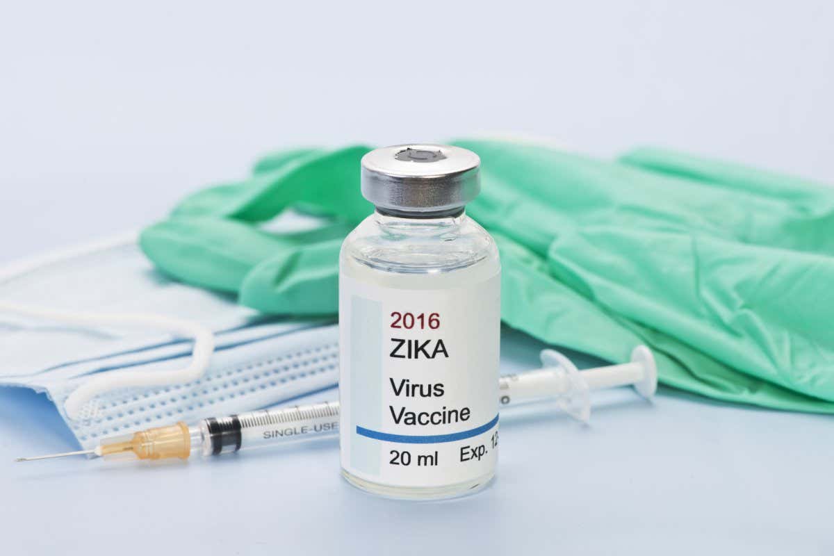 There is no approved vaccine against Zika, but a vaccine candidate has shown promise in mice