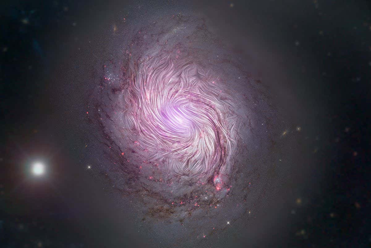 Magnetic fields in NGC 1068, or M77, are shown as streamlines over a visible light and X-ray composite image of the galaxy from the Hubble Space Telescope, the Nuclear Spectroscopic Array, and the Sloan Digital Sky Survey. The magnetic fields align along the entire length of the massive spiral arms ? 24,000 light years across (0.8 kiloparsecs) ? implying that the gravitational forces that created the galaxy?s shape are also compressing its magnetic field. This supports the leading theory of how the spiral arms are forced into their iconic shape known as ?density wave theory.? SOFIA studied the galaxy using far-infrared light (89 microns) to reveal facets of its magnetic fields that previous observations using visible and radio telescopes could not detect. Credits: NASA/SOFIA; NASA/JPL-Caltech/Roma Tre Univ. https://www.nasa.gov/feature/how-to-shape-a-spiral-galaxy
