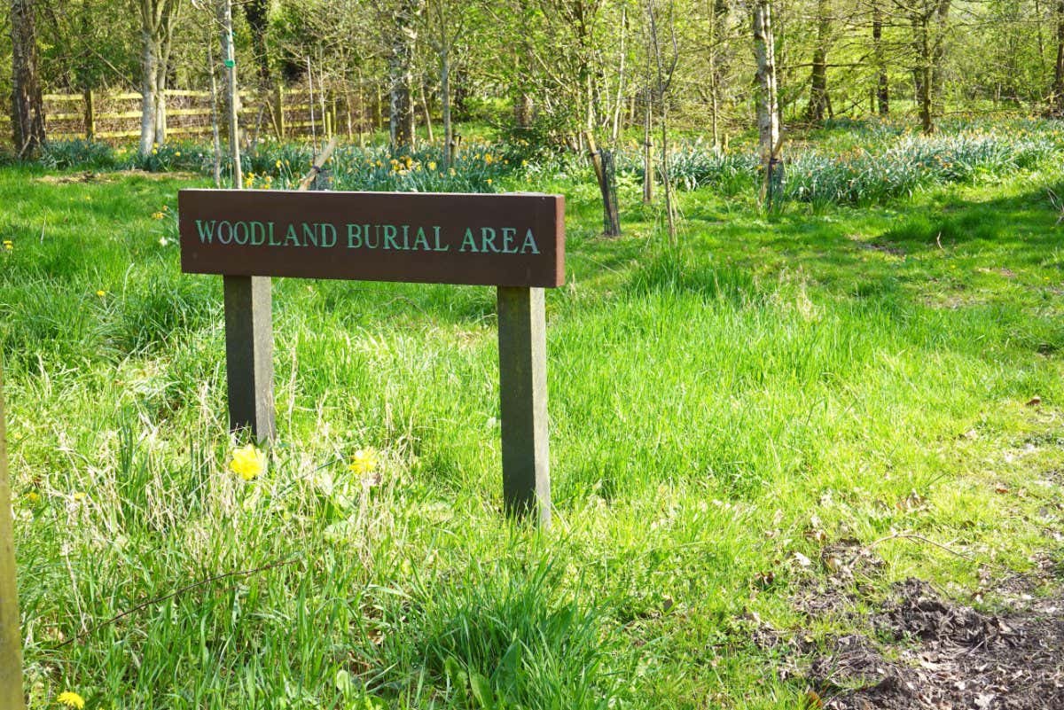 2J5DWYF The Woodland Burial Area in Thornsett Cemetery, New Mills, Derbyshire