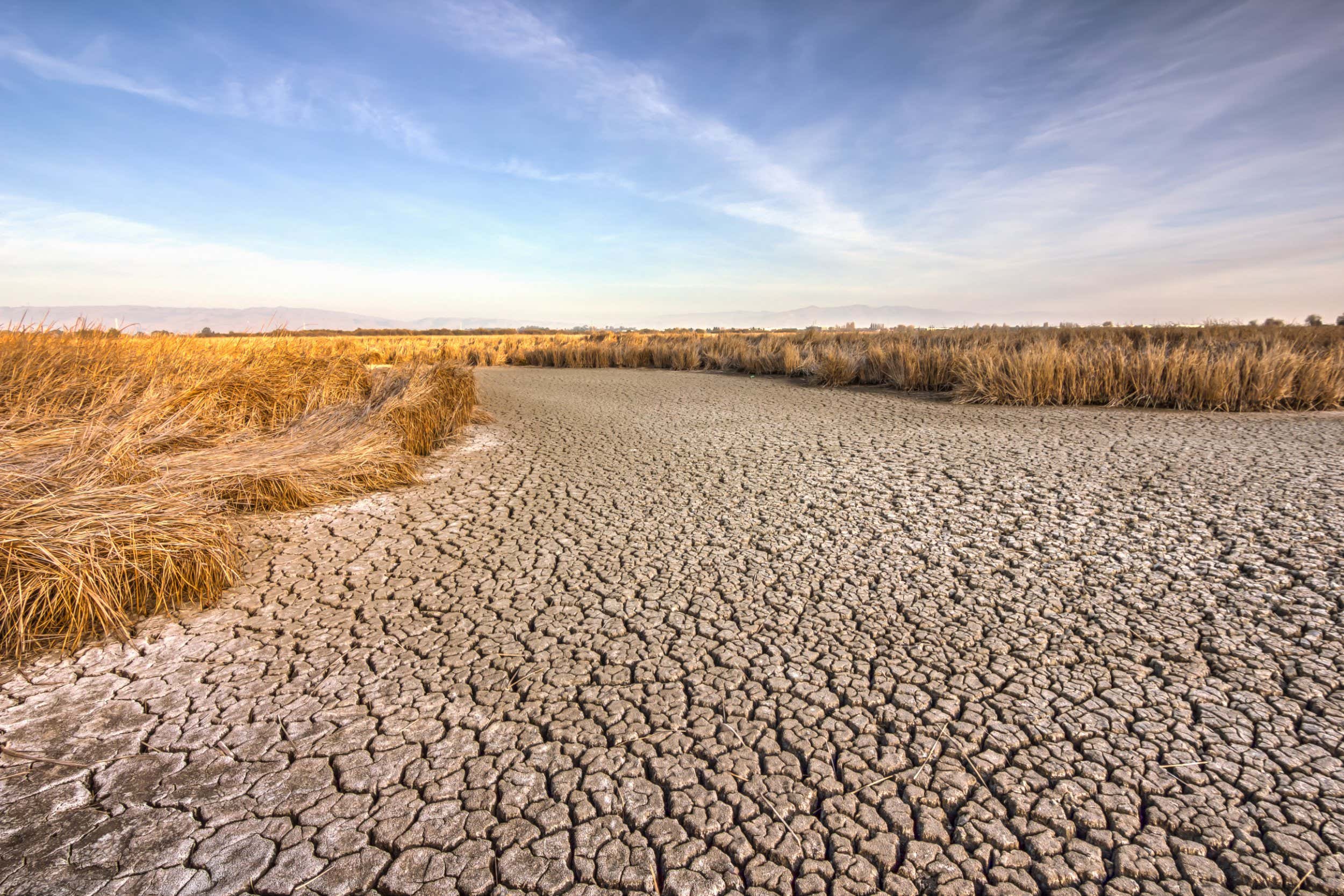 Cracked dry ground near Fremont, California, USA; Shutterstock ID 173917970; purchase_order: -; job: -; client: -; other: -