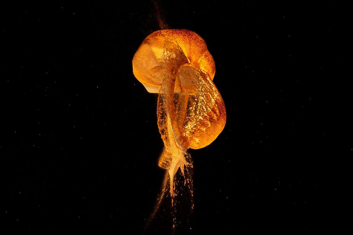 A new simulation reveals an alternative explanation for the moon's formation