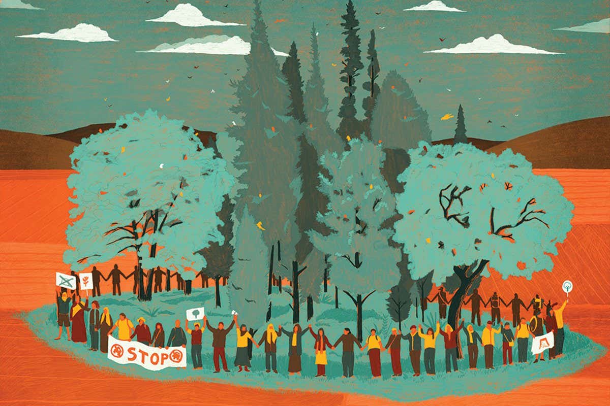 Why the UK government's attack on nature cannot be allowed to succeed