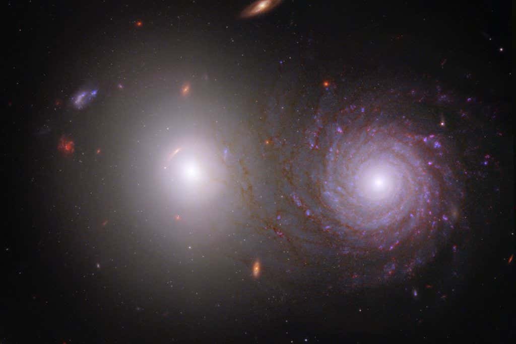 By combining data from NASA?s James Webb Space Telescope and NASA?s Hubble Space Telescope, researchers were able to trace light that was emitted by the large white elliptical galaxy at left through the spiral galaxy at right and identify the effects of interstellar dust in the spiral galaxy. This image of galaxy pair VV 191 includes near-infrared light from Webb, and ultraviolet and visible light from Hubble. Webb?s near-infrared data also show us the galaxy?s longer, extremely dusty spiral arms in far more detail, giving them an appearance of overlapping with the central bulge of the bright white elliptical galaxy on the left. Although the two foreground galaxies are relatively close astronomically speaking, they are not actively interacting. Don?t overlook the background scenery! Like many Webb images, this image of VV 191 shows many galaxies that lie great distances away. For example, two patchy spirals to the upper left of the elliptical galaxy have similar apparent sizes, but show up in very different colors. One is likely very dusty and the other very far away, but researchers need to obtain data known as spectra to determine which is which.
