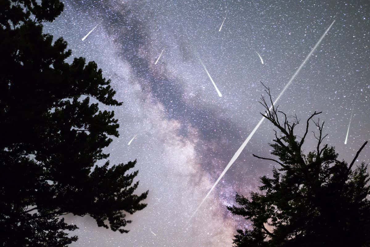 A view of a Meteor Shower and the Milky Way with a pine trees forest silhouette in the foreground. Night sky nature summer landscape. Perseid Meteor Shower observation.; Shutterstock ID 691039453; purchase_order: -; job: -; client: -; other: -