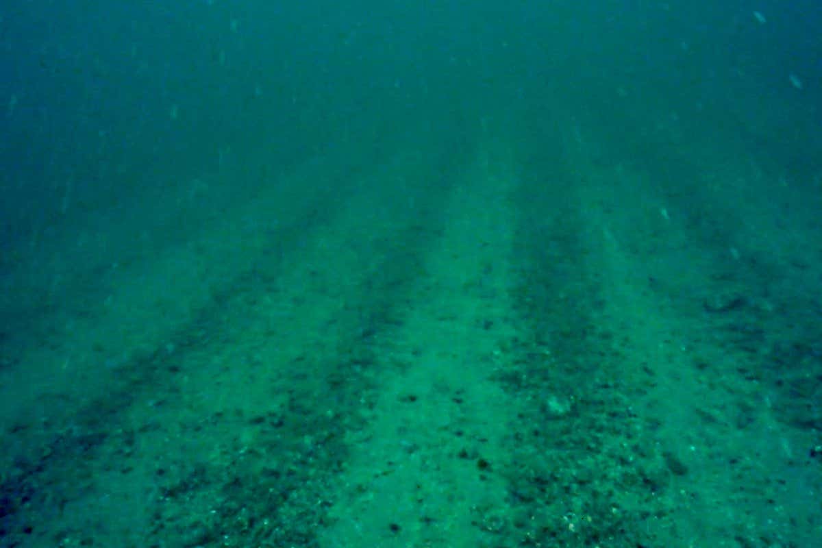 Scar marks across the seabed indicate scallop dredging continues legally inside the protected area