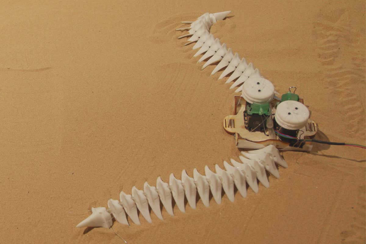 Bioinspired robots interact with performers in new dance project