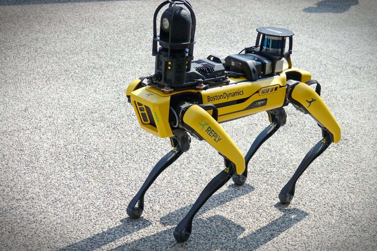 A yellow robot dog