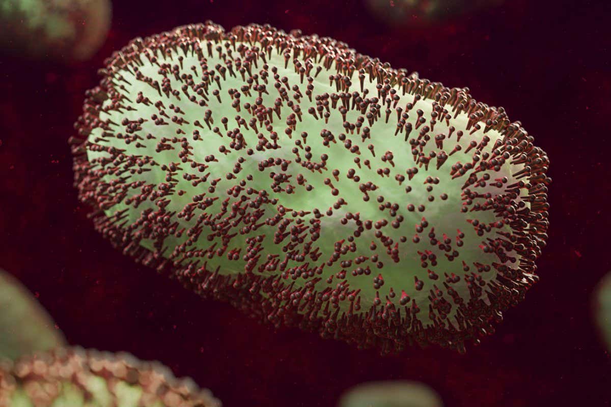 Allowing the monkeypox virus to spread raises the risk it may mutate to become more transmissible