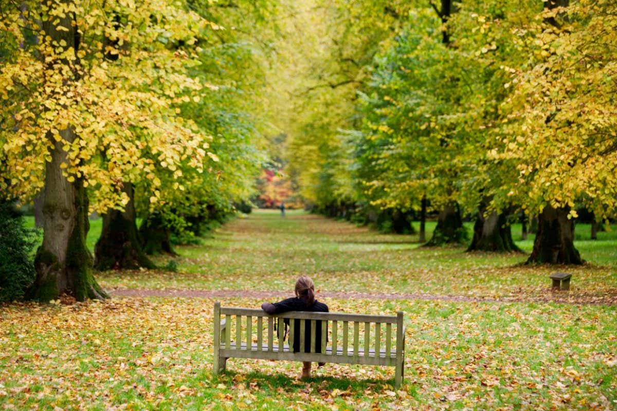 ACRABD A woman sitting on a bench among Autumn trees at Westonbirt Arboretum Gloucestershire UK
