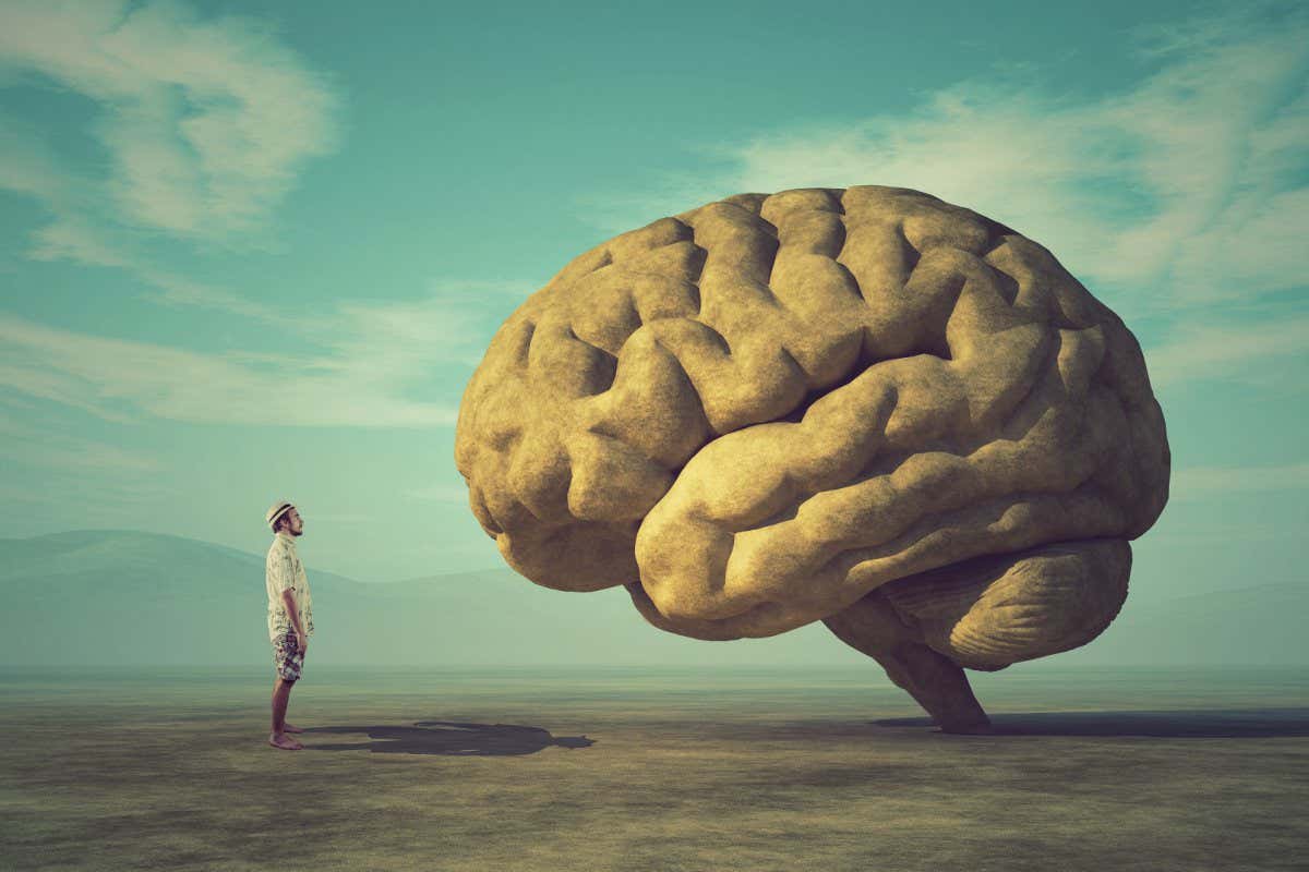 The young and conceptual image of a large stone in the shape of the human brain; Shutterstock ID 1032541603; purchase_order: -; job: -; client: -; other: -