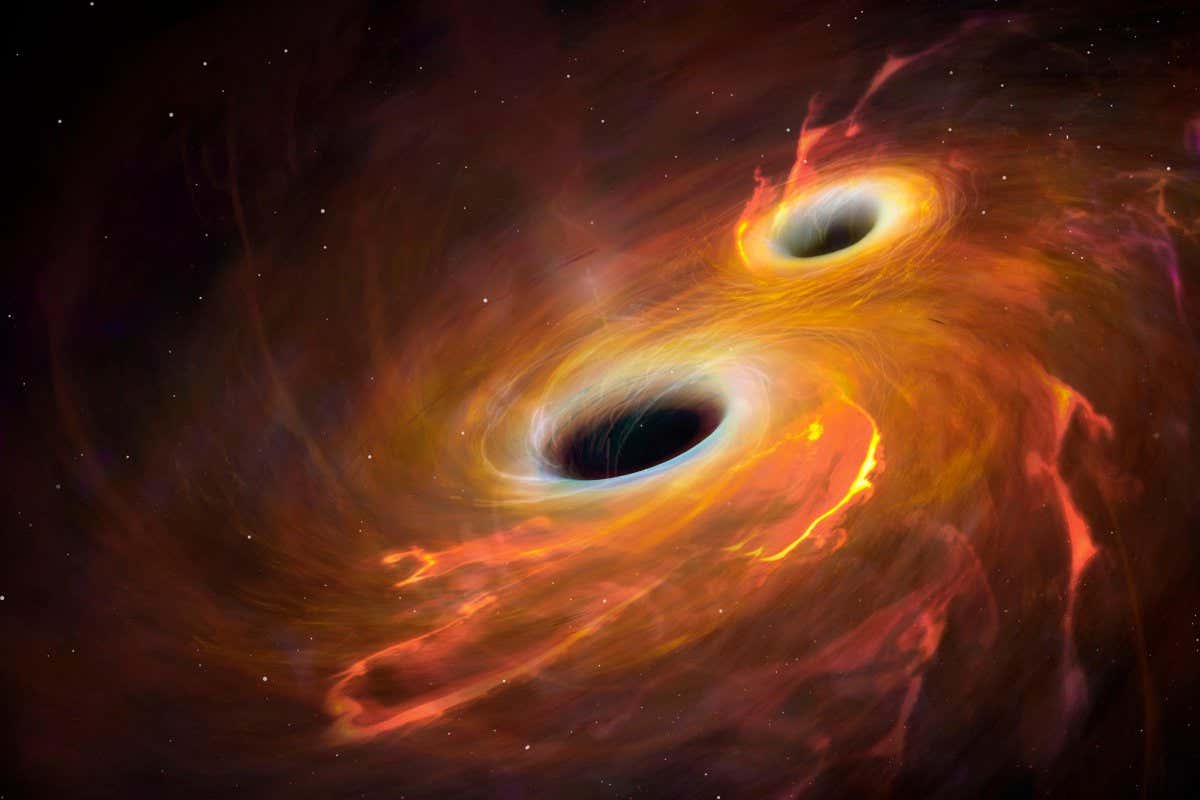 Black holes